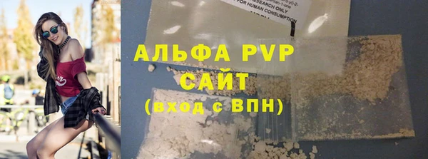 сатива Козельск