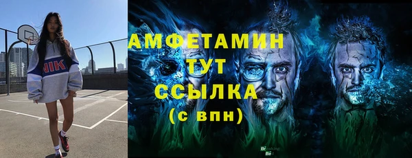 сатива Козельск