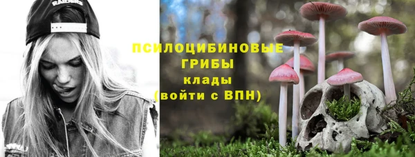 сатива Козельск