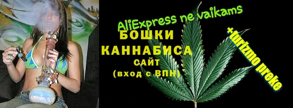 сатива Козельск