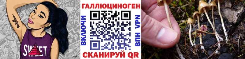 Псилоцибиновые грибы Magic Shrooms  Купить закладки  Устюжна 